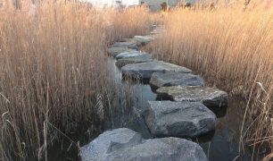large stepping stones winding through a watery field